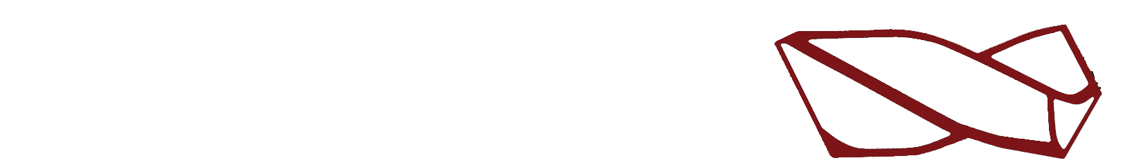 Schwarz Metall GmbH Logo